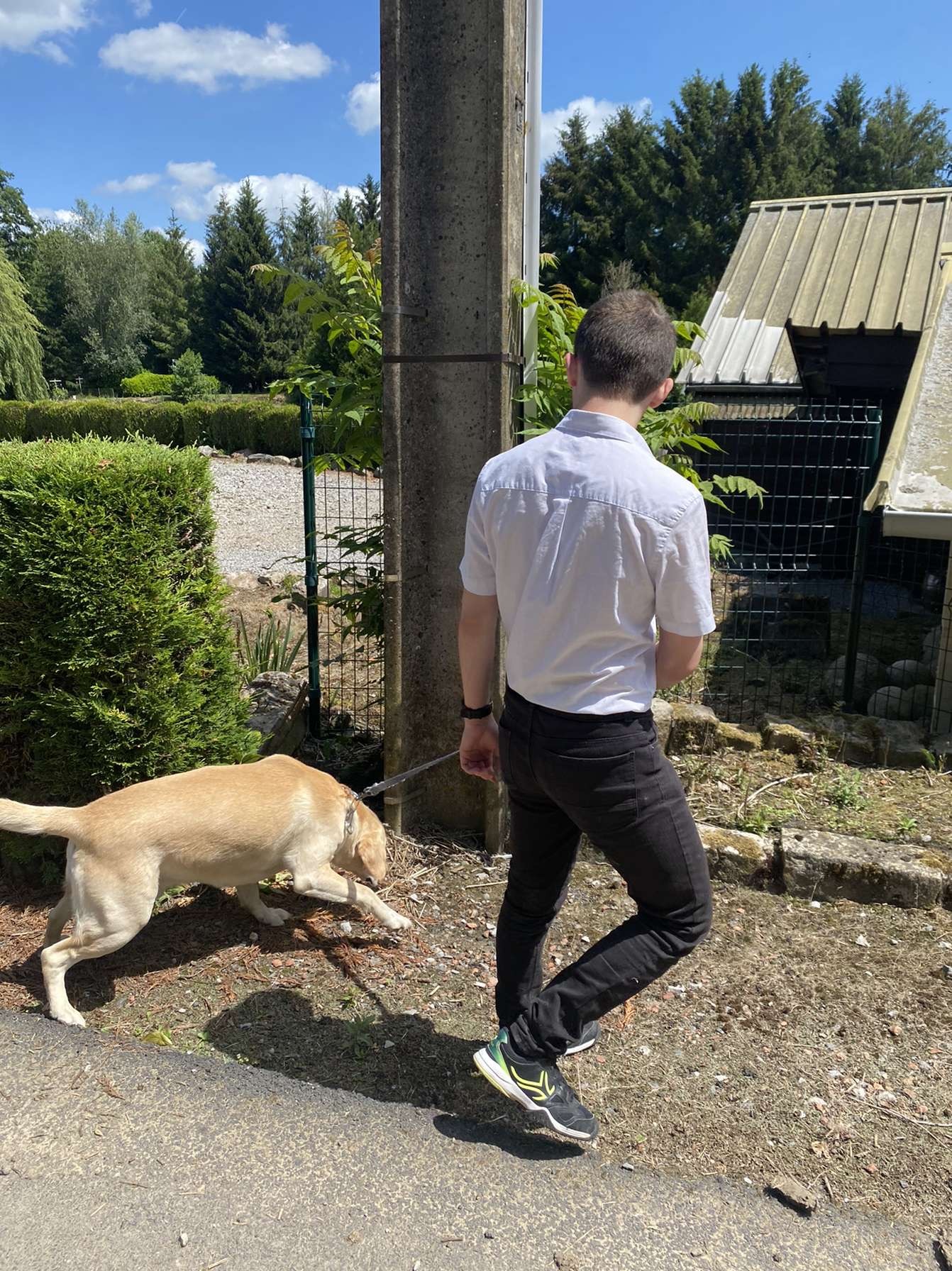 Profil de Wafik, 21 ans, Agence Rencontre à Binn