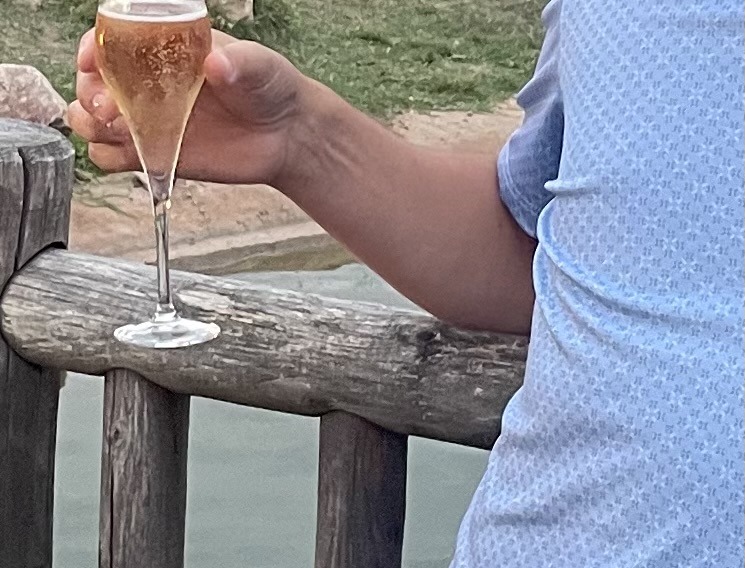 Profil de Steevie, 48 ans, Agence Rencontre à Brail